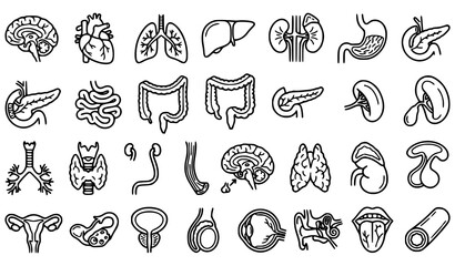 Obraz premium Internal Human Organ Pictograms, Minimal Medical Viscera Outline Vector Set