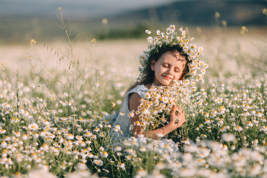 Young girl wearing Matricaria chamomilla wreath holds bouquet of daisies while sitting in sunny summer meadow