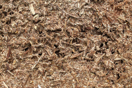 Natural wood particle board surface background texture of dense wood chips