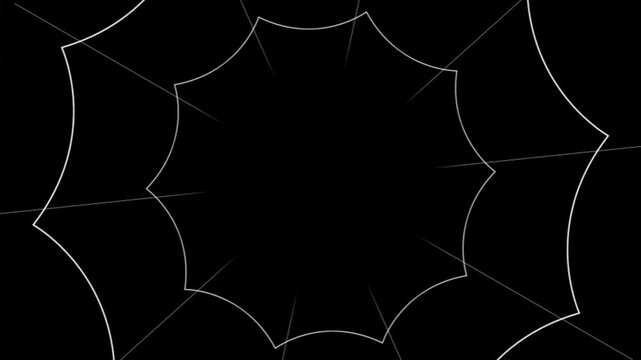 The halloween spider web loop in the black background 