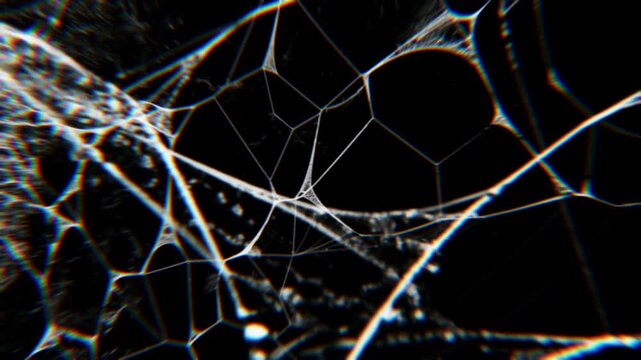The spider silk in black background.
