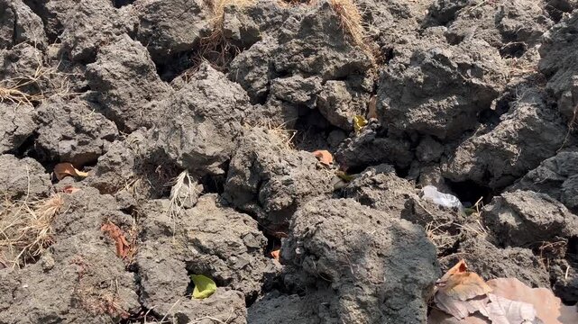 Rough dry mud soil texture close up surface