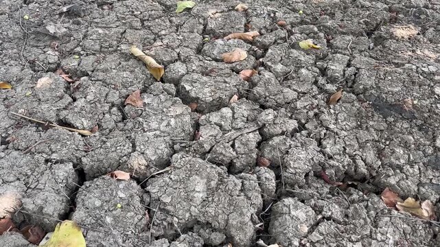 Dry clay ground surface representing drought and climate change