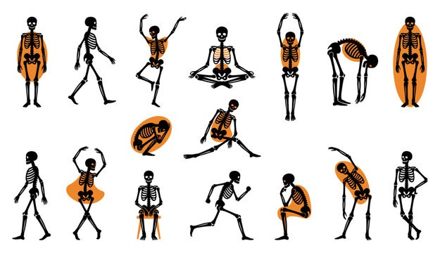 A collection of various human poses featuring a detailed halloween skeleton vector set for spooky holiday design projects