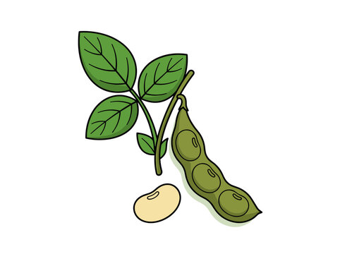 Flat vector illustration of single soybean pod, green bean, and leaf on white background