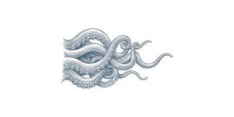 Abstract blue vector illustration of an octopus tentacles in a detailed and intricate drawing style. © Developer