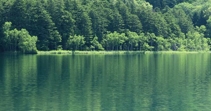 オンネトー湖畔
