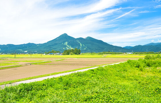 田んぼ風景」の写真素材 | 663,539件の無料イラスト画像 | Adobe Stock