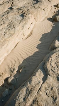 sand dunes on the beach