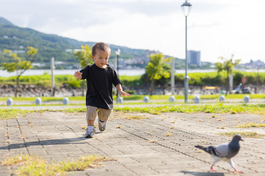 Asian little boy chase with a bird at park