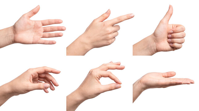 Set of human hand gestures isolated on white background