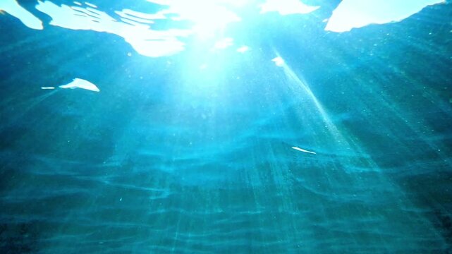 Underwater background with clear blue ocean water, bright sun rays beaming through surface and ripples, deep sea scenery. Sunlight rays shining. Waving sea water surface underwater view. Real video.