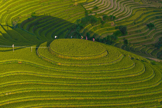Farmers walking on beautiful green rice terraces