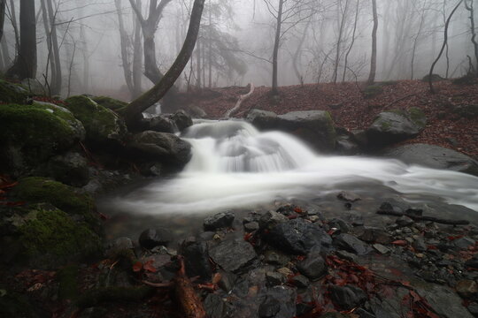 Misty autumn forest waterfall with silky water and mossy rocks