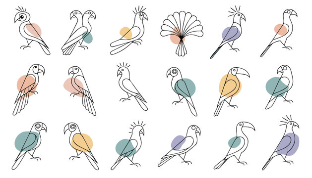 Minimalist exotic birds line art collection with pastel watercolor shapes