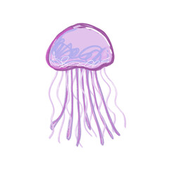 jellyfish © Torphun