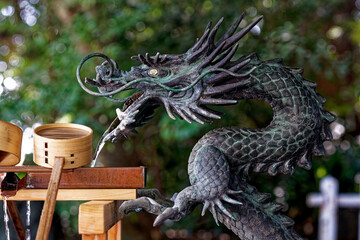 Fototapeta premium Dragon Water Spout at Kawagoe Hikawa Shrine