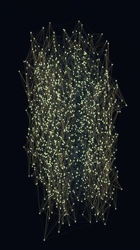 Vertical video data mesh nodes reorganize in a seamless network