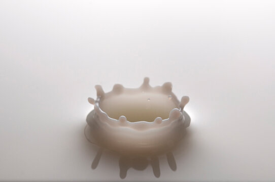 Crown shaped milk drop splash close up.