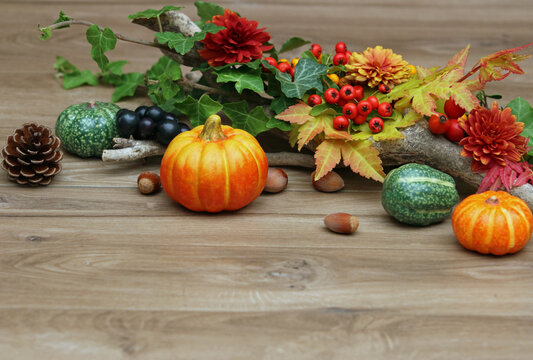 Ornamental pumpkins and colorful berries on a rustic wooden background with plenty of white space.