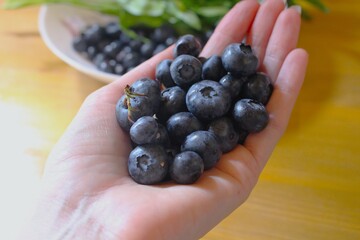 Close-up of an open palm filled with fresh ripe blueberries against a warm rustic wooden surface. © StasiaVisualStock