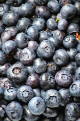 Vertical close-up photograph filling the frame with abundance of fresh, ripe blueberries. © StasiaVisualStock