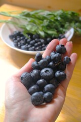 Perspective shot of a person holding a handful of ripe blueberries with a bowl of berries in the background. © StasiaVisualStock
