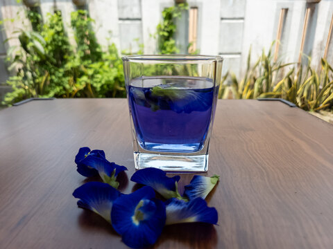 Blue butterfly pea flower tea in a glass on a wooden table with fresh Clitoria ternatea flowers and a blurred garden background highlighting natural anthocyanin and flavonoid properties