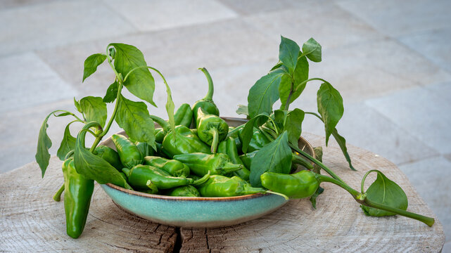 Candid macro photograph of fresh green Italian sweet peppers (friggitelli or friarielli) harvested with leaves, resting in a rustic ceramic bowl on a weathered wood plank. Mediterranean food concept