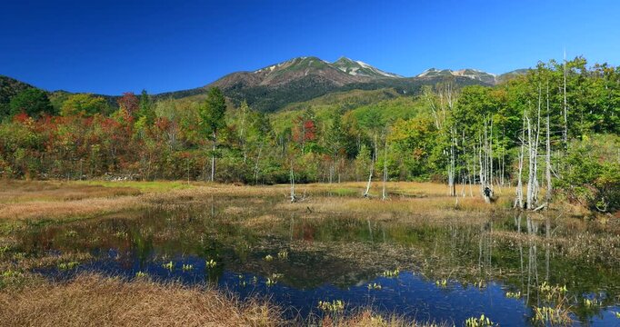 紅葉の乗鞍高原のどじょう池と乗鞍岳