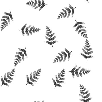 seamless pattern fern plant tropical leaf hand drawn. palm silhouette, flower green, frond caribbean plant tropical leaf black sketch illustration