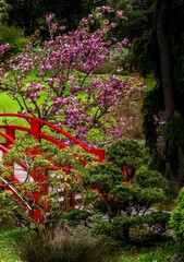 Paysage © SR