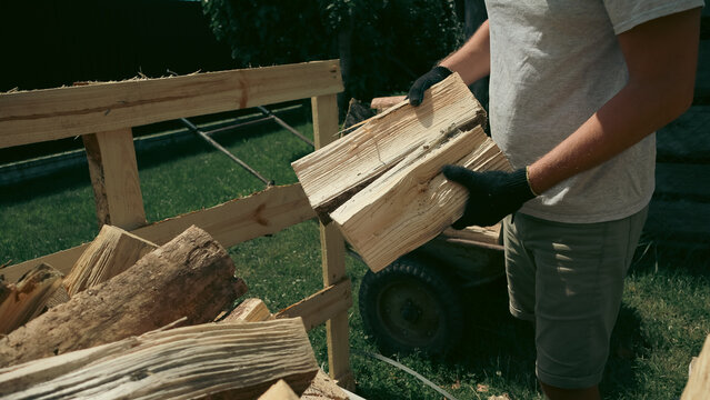 Man wearing protective gloves stacking split wooden logs onto rack preparing firewood in backyard