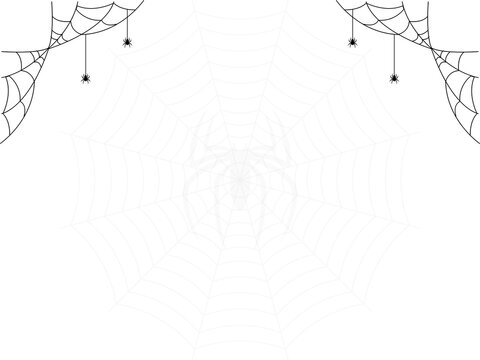 Faint spider web overlay background with top corner webs and spider, clean minimalist Halloween border frame vector illustration