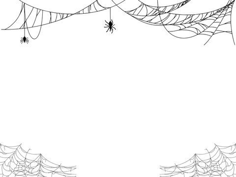 Hanging cobwebs with spiders border vector illustration, spooky Halloween banner background layout with draped dark web details
