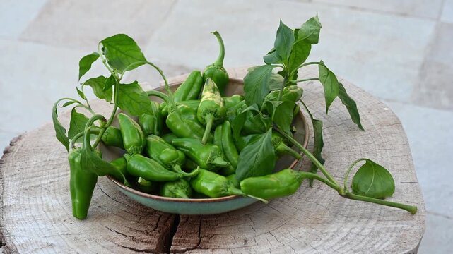 Slow motion macro pan video capturing a rustic bowl of fresh green Italian sweet peppers (friggitelli/friarielli) with tomatoes resting on a weathered wood plank. Mediterranean food concept.