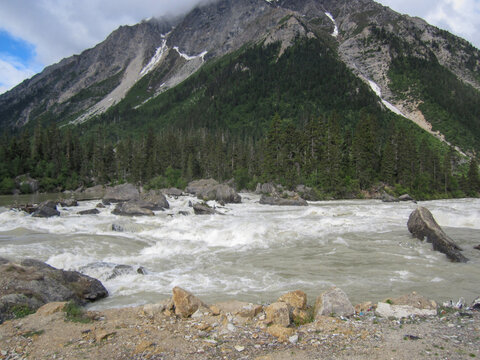 Mountain river with rapid flow and surrounding lush green trees