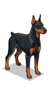 A standing Doberman Pinscher guard dog in vector graphic style on a white background with a grey base
