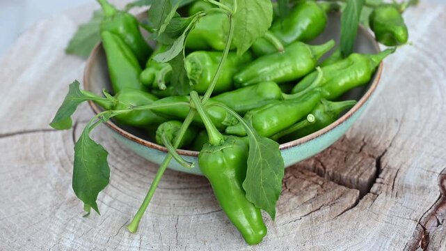 Slow motion macro pan video capturing a rustic bowl of fresh green Italian sweet peppers (friggitelli/friarielli) with tomatoes resting on a weathered wood plank. Mediterranean food concept.