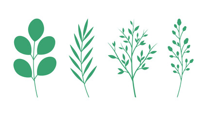 Fototapeta premium Various Green Plant Sprigs Isolated: A collection of delicate green plant sprigs and leaves, showcasing diverse botanical elements for design and decoration.