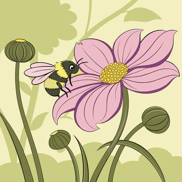 vector illustration of a flower