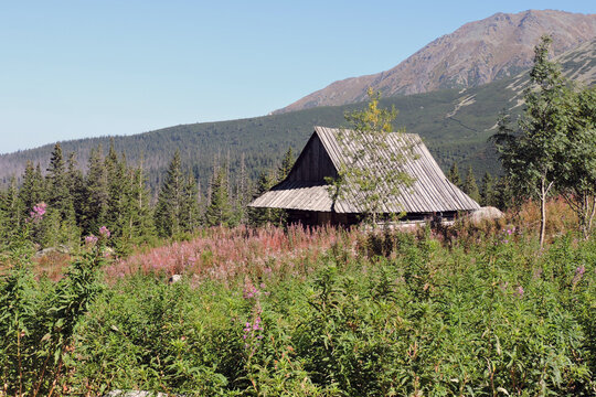 Traditional wooden shepherd hut on Hala Gasienicowa with Ż&oacute;łta Turnia peak in September, Tatra Mountains in Poland
