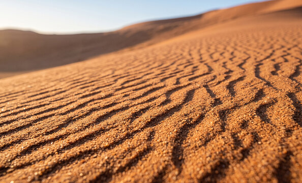 Namib Desert sand dune.