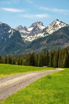 Breathtaking summer view of Bielovodska valley in High Tatras, Slovakia. Dirt path winds through a vibrant green field under majestic snow-capped rocky peaks and evergreen pine tree fore