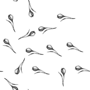 seamless pattern garden crocus hand drawn. crocus purple, saffron violet, bloom field garden crocus black sketch illustration