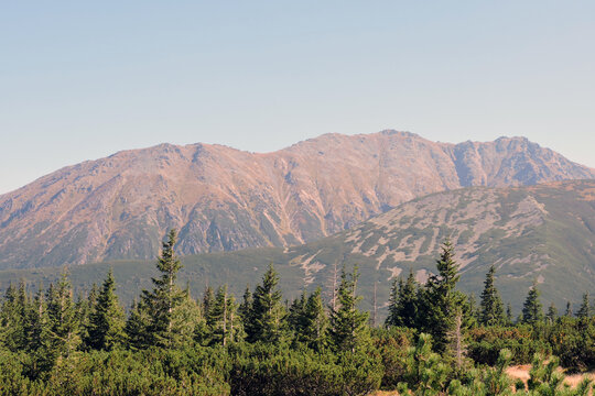 Subalpine zone forest and mountain slopes of Kopa Magury, Tatra Mountains in Poland