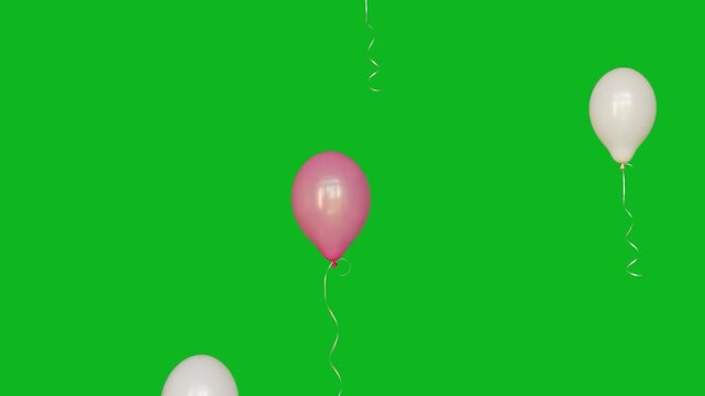White and pink helium balloons floating slowly upwards on green screen.