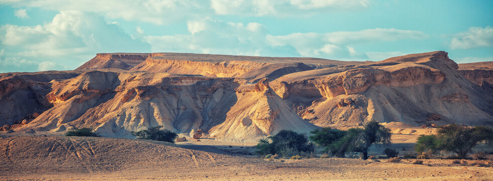 View of desert. View of valley with mountains on backdrop. Nature of Israel.