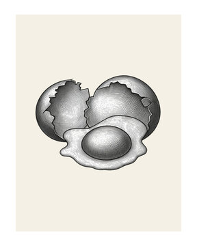 Vintage botanical-style black and white engraving of two cracked eggshell halves, featuring intricate hand-drawn crosshatching and a visible rounded egg interior. The minimalist composition is set