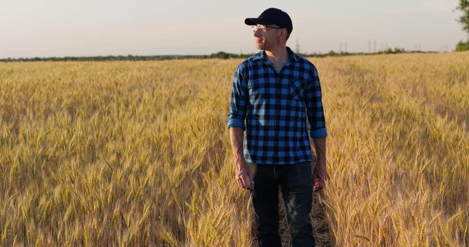 Man walks confidently through golden field beneath evening sky at sunset. Personal journey reflects purpose, resilience, optimism and confidence while embracing new opportunities and future goals.